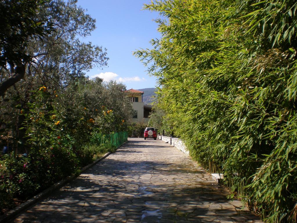 Vasiliki Studios Petra (Lesbos) Exterior foto