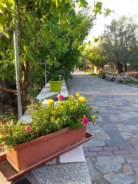 Vasiliki Studios Petra (Lesbos) Exterior foto